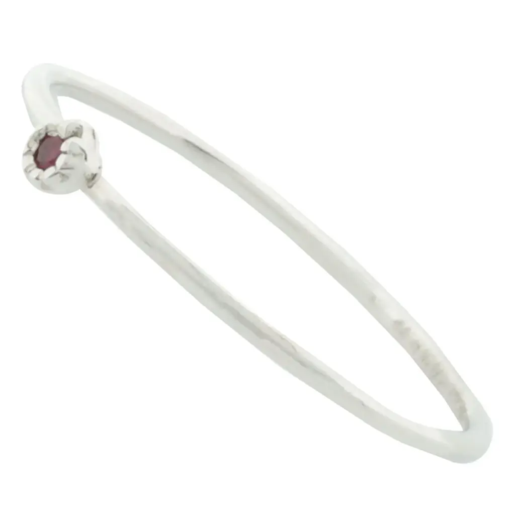 AN PIEDRA ROSA, PLATA RODIZADA