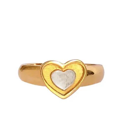 [411011] AN CORAZÓN DOBLE