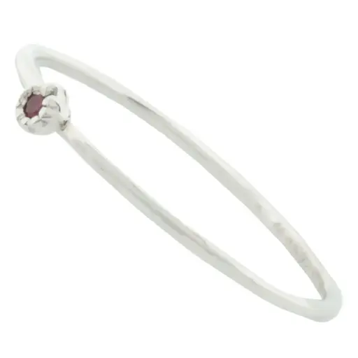 [211029] AN PIEDRA ROSA, PLATA RODIZADA