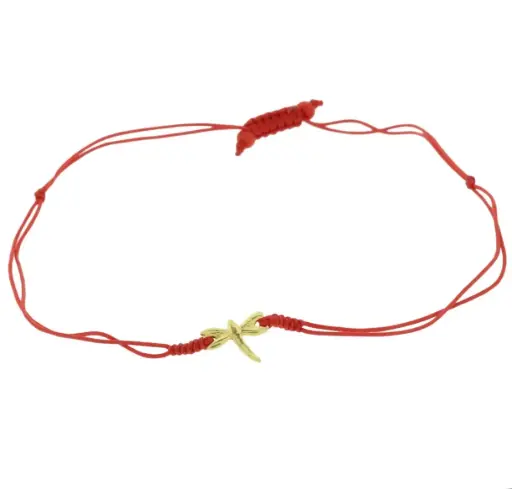 [442002] PULS. LIBELULA MNI, CHAPA